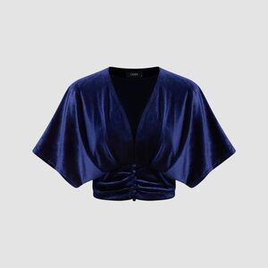 Blue Velvet Cropped Top